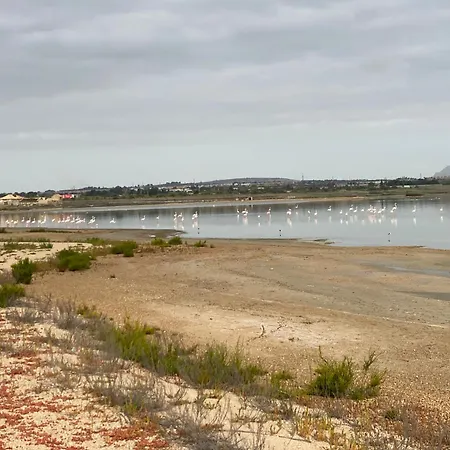 Laguna Del Flamenco * 또레비에하