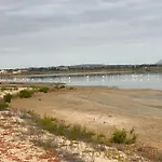 Laguna Del Flamenco * Torrevieja