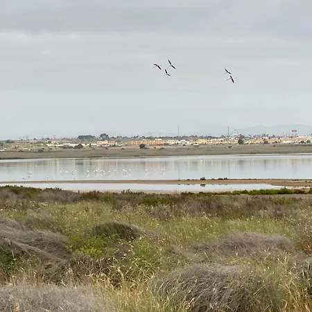 Holiday home Laguna Del Flamenco Torrevieja